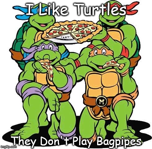 Ninja turtles | I Like Turtles; They Don't Play Bagpipes | image tagged in ninja turtles | made w/ Imgflip meme maker