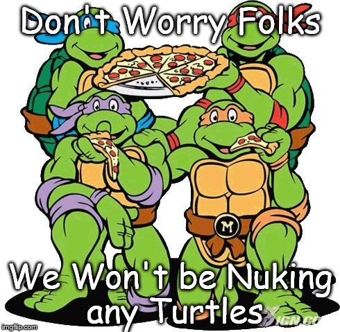 Ninja turtles | Don't Worry Folks; We Won't be Nuking any Turtles | image tagged in ninja turtles | made w/ Imgflip meme maker