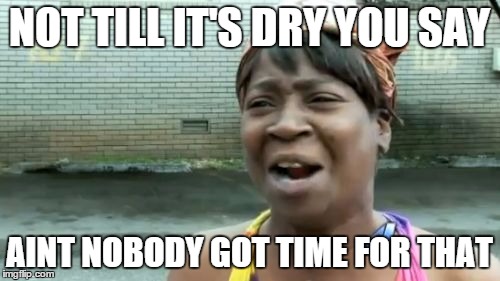 NOT TILL IT'S DRY YOU SAY AINT NOBODY GOT TIME FOR THAT | image tagged in memes,aint nobody got time for that | made w/ Imgflip meme maker