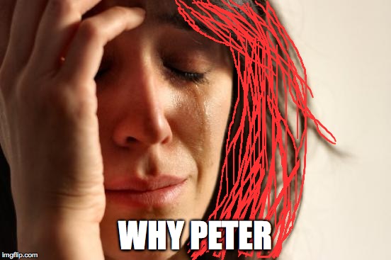 First World Problems Meme | WHY PETER | image tagged in memes,first world problems | made w/ Imgflip meme maker