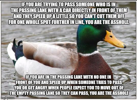 Actual Advice Mallard Meme | IF YOU ARE TRYING TO PASS SOMEONE WHO IS IN THE PASSING LANE WITH A CAR DIRECTLY IN FRONT OF THEM AND THEY SPEED UP A LITTLE SO YOU CAN'T CUT THEM OFF FOR ONE WHOLE SPOT FURTHER IN LINE, YOU ARE THE ASSHOLE. IF YOU ARE IN THE PASSING LANE WITH NO ONE IN FRONT OF YOU AND SPEED UP WHEN SOMEONE TRIES TO PASS YOU OR GET ANGRY WHEN PEOPLE EXPECT YOU TO MOVE OUT OF THE EMPTY PASSING LANE SO THEY CAN PASS, YOU ARE THE ASSHOLE | image tagged in memes,actual advice mallard | made w/ Imgflip meme maker