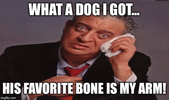 WHAT A DOG I GOT... HIS FAVORITE BONE IS MY ARM! | made w/ Imgflip meme maker