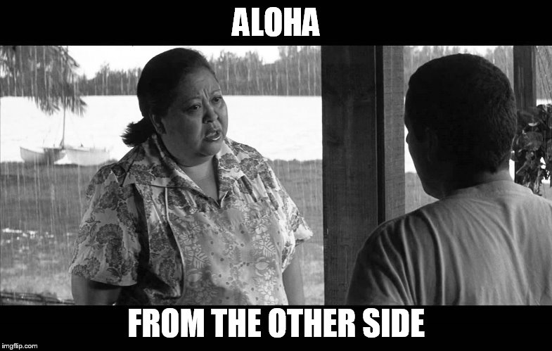 ALOHA; FROM THE OTHER SIDE | image tagged in aloha hello | made w/ Imgflip meme maker