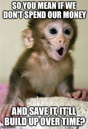 Surprised baby monkey | SO YOU MEAN IF WE DON'T SPEND OUR MONEY; AND SAVE IT, IT'LL BUILD UP OVER TIME? | image tagged in surprised baby monkey | made w/ Imgflip meme maker