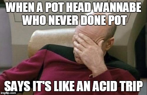 Captain Picard Facepalm Meme | WHEN A POT HEAD WANNABE WHO NEVER DONE POT; SAYS IT'S LIKE AN ACID TRIP | image tagged in memes,captain picard facepalm | made w/ Imgflip meme maker