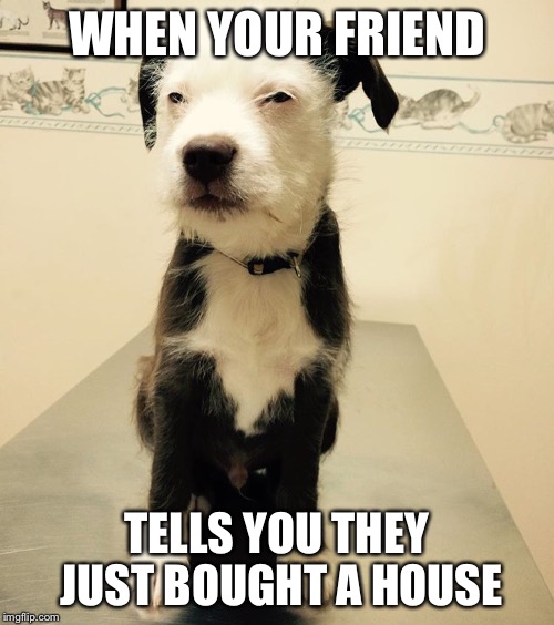 WHEN YOUR FRIEND; TELLS YOU THEY JUST BOUGHT A HOUSE | image tagged in those eyes | made w/ Imgflip meme maker