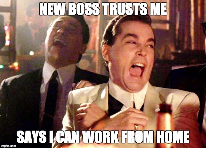 Good Fellas Hilarious Meme | NEW BOSS TRUSTS ME; SAYS I CAN WORK FROM HOME | image tagged in memes,good fellas hilarious | made w/ Imgflip meme maker