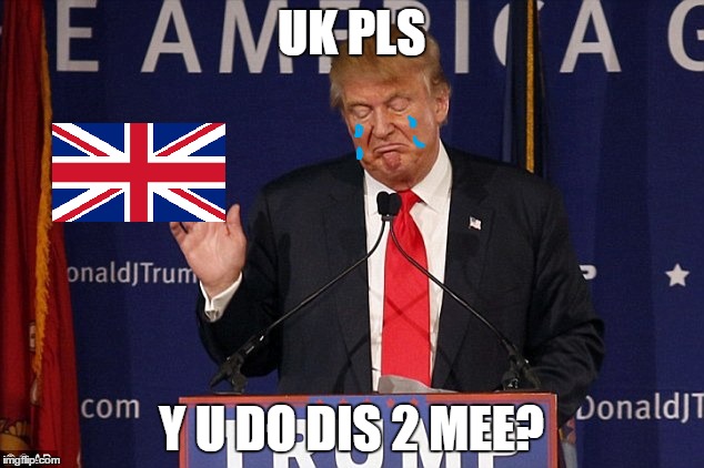 Donald Trump banned from UK | UK PLS; Y U DO DIS 2 MEE? | image tagged in donald trump,uk,funny | made w/ Imgflip meme maker