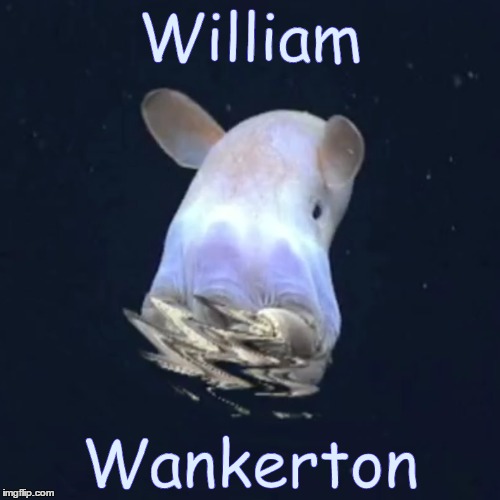 Matt Berry Does Ghosts; William Wankerton | image tagged in matt,berry,does,ghosts,william,wankerton | made w/ Imgflip meme maker