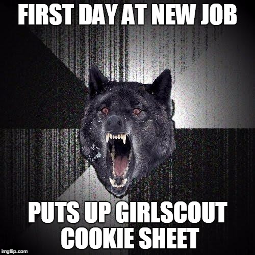 Insanity Wolf | FIRST DAY AT NEW JOB; PUTS UP GIRLSCOUT COOKIE SHEET | image tagged in memes,insanity wolf,AdviceAnimals | made w/ Imgflip meme maker