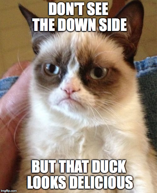 Grumpy Cat Meme | DON'T SEE THE DOWN SIDE BUT THAT DUCK LOOKS DELICIOUS | image tagged in memes,grumpy cat | made w/ Imgflip meme maker