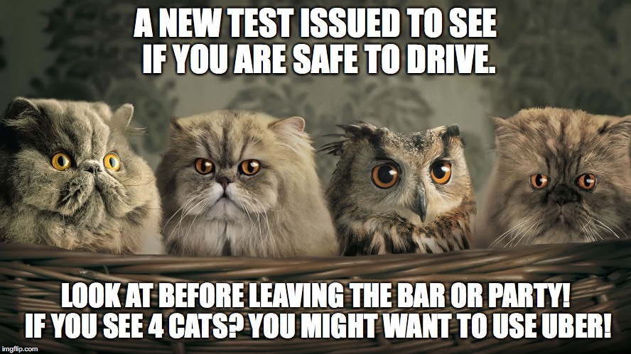 A NEW TEST ISSUED TO SEE IF YOU ARE SAFE TO DRIVE. LOOK AT BEFORE LEAVING THE BAR OR PARTY! IF YOU SEE 4 CATS? YOU MIGHT WANT TO USE UBER! | image tagged in drug test,memes | made w/ Imgflip meme maker