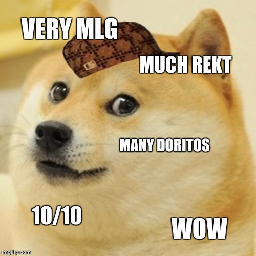 Doge Meme | VERY MLG MUCH REKT MANY DORITOS 10/10 WOW | image tagged in memes,doge,scumbag | made w/ Imgflip meme maker