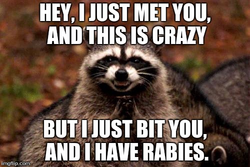 After seeing Raydog repost an old popular meme, I decided today was "jseb's social experiment" day. | HEY, I JUST MET YOU, AND THIS IS CRAZY; BUT I JUST BIT YOU, AND I HAVE RABIES. | image tagged in memes,evil plotting raccoon | made w/ Imgflip meme maker