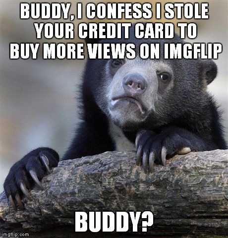 Confession Bear | BUDDY, I CONFESS I STOLE YOUR CREDIT CARD TO BUY MORE VIEWS ON IMGFLIP; BUDDY? | image tagged in memes,confession bear | made w/ Imgflip meme maker