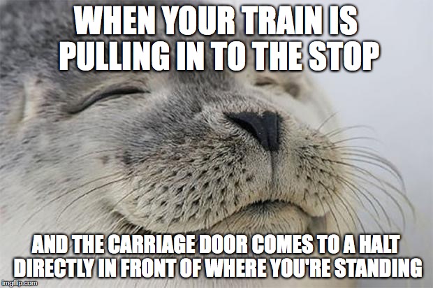 Satisfied Seal Meme | WHEN YOUR TRAIN IS PULLING IN TO THE STOP; AND THE CARRIAGE DOOR COMES TO A HALT DIRECTLY IN FRONT OF WHERE YOU'RE STANDING | image tagged in memes,satisfied seal,AdviceAnimals | made w/ Imgflip meme maker