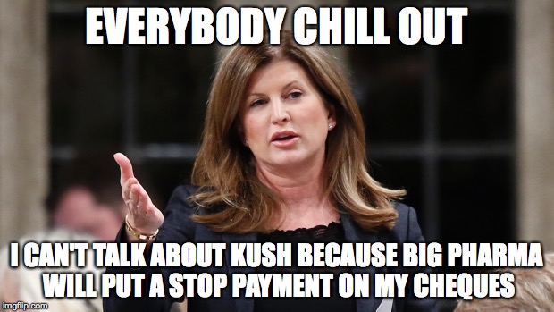 Rona Ambrose | EVERYBODY CHILL OUT; I CAN'T TALK ABOUT KUSH BECAUSE BIG PHARMA WILL PUT A STOP PAYMENT ON MY CHEQUES | image tagged in rona ambrose | made w/ Imgflip meme maker