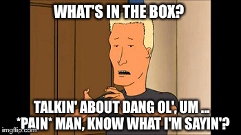 Dunehauer | WHAT'S IN THE BOX? TALKIN' ABOUT DANG OL', UM ... *PAIN* MAN, KNOW WHAT I'M SAYIN'? | image tagged in boomhauer,dune | made w/ Imgflip meme maker