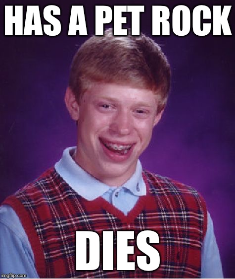 Bad Luck Brian | HAS A PET ROCK; DIES | image tagged in memes,bad luck brian | made w/ Imgflip meme maker