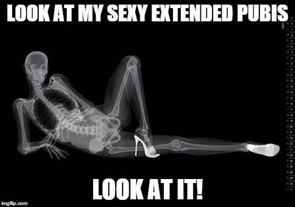 Sexy Pubis | LOOK AT MY SEXY EXTENDED PUBIS; LOOK AT IT! | image tagged in xray porn | made w/ Imgflip meme maker