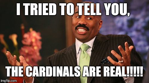 I TRIED TO TELL YOU, THE CARDINALS ARE REAL!!!!! | image tagged in memes,steve harvey | made w/ Imgflip meme maker
