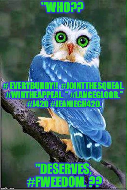 "WHO?? # EVERYBUDDY!!  #JOINTTHESQUEAL. #WINTHEAPPEAL. " #LANCEGLOOR." #J420 #JEANIEGH420. "DESERVES, #FWEEDOM. ?? | image tagged in who deserves fweedom we all do fight with lancegloor | made w/ Imgflip meme maker