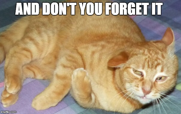 AND DON'T YOU FORGET IT | made w/ Imgflip meme maker