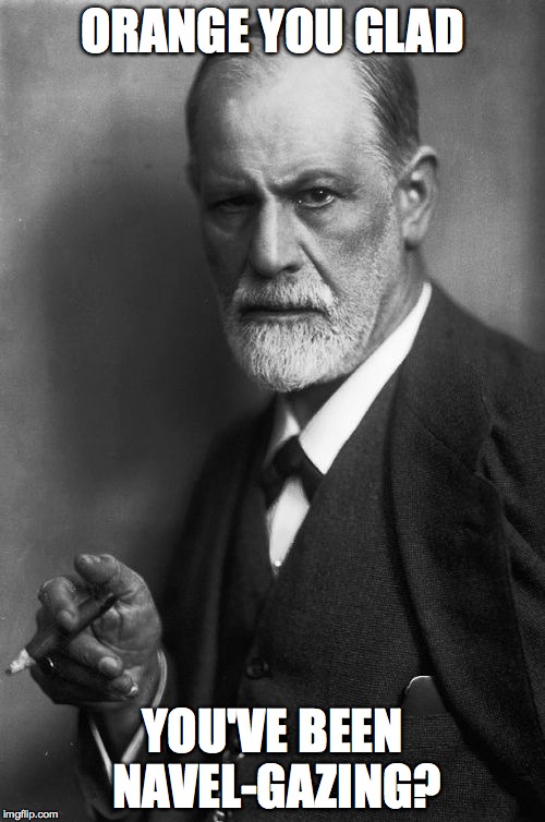 Sigmund Freud | ORANGE YOU GLAD; YOU'VE BEEN NAVEL-GAZING? | image tagged in memes,sigmund freud | made w/ Imgflip meme maker