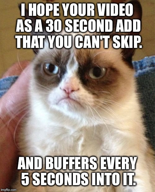 Grumpy Cat | I HOPE YOUR VIDEO AS A 30 SECOND ADD THAT YOU CAN'T SKIP. AND BUFFERS EVERY 5 SECONDS INTO IT. | image tagged in memes,grumpy cat | made w/ Imgflip meme maker