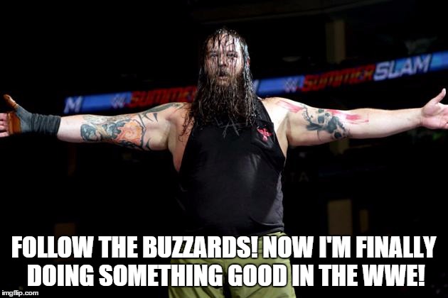 FOLLOW THE BUZZARDS! NOW I'M FINALLY DOING SOMETHING GOOD IN THE WWE! | made w/ Imgflip meme maker