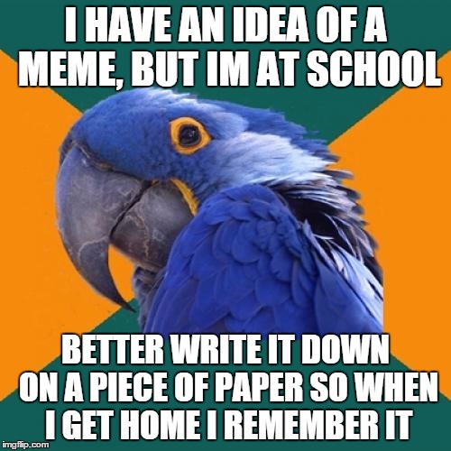 Paranoid Parrot Meme | I HAVE AN IDEA OF A MEME, BUT IM AT SCHOOL; BETTER WRITE IT DOWN ON A PIECE OF PAPER SO WHEN I GET HOME I REMEMBER IT | image tagged in memes,paranoid parrot | made w/ Imgflip meme maker