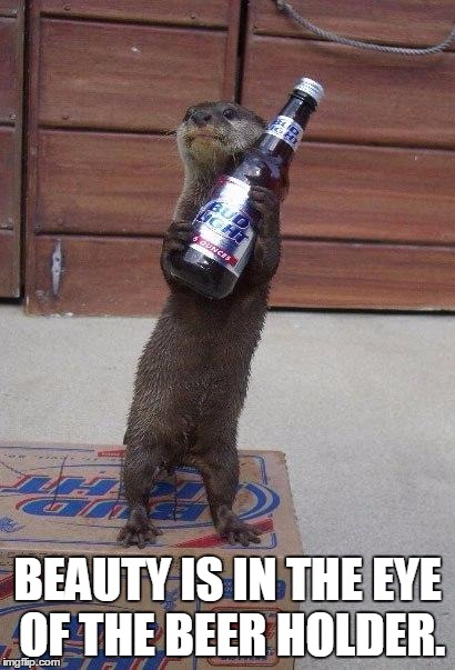 beer otter | BEAUTY IS IN THE EYE OF THE BEER HOLDER. | image tagged in beer otter | made w/ Imgflip meme maker
