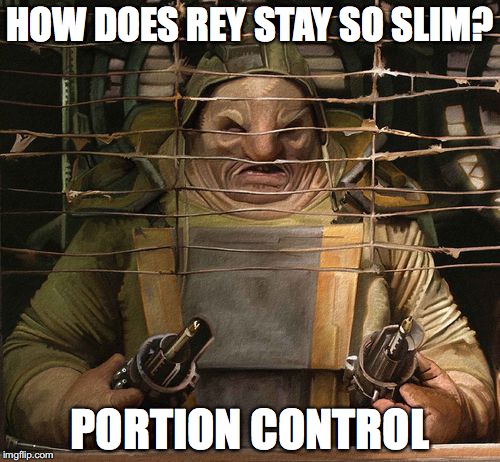 How does Rey stay so slim? | HOW DOES REY STAY SO SLIM? PORTION CONTROL | image tagged in one quarter portion | made w/ Imgflip meme maker