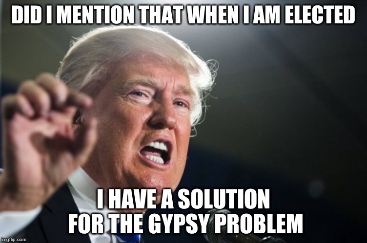 donald trump | DID I MENTION THAT WHEN I AM ELECTED; I HAVE A SOLUTION FOR THE GYPSY PROBLEM | image tagged in donald trump | made w/ Imgflip meme maker