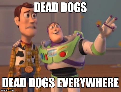 X, X Everywhere Meme | DEAD DOGS; DEAD DOGS EVERYWHERE | image tagged in memes,x x everywhere | made w/ Imgflip meme maker