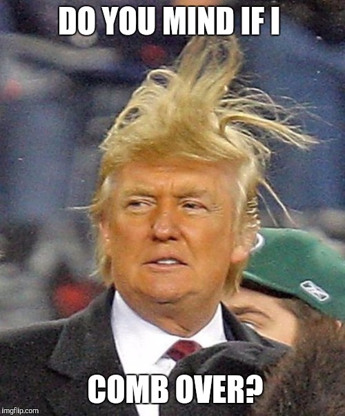 Donald Trumph hair | DO YOU MIND IF I; COMB OVER? | image tagged in donald trumph hair | made w/ Imgflip meme maker