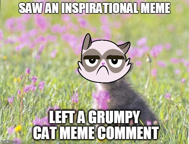 Please tell me I'm not the only one tempted to do this :) | SAW AN INSPIRATIONAL MEME; LEFT A GRUMPY CAT MEME COMMENT | image tagged in memes,baby insanity wolf,grumpy cat,inspirational | made w/ Imgflip meme maker