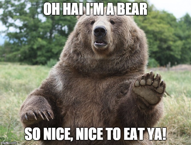 OH HAI I'M A BEAR; SO NICE, NICE TO EAT YA! | image tagged in bear | made w/ Imgflip meme maker