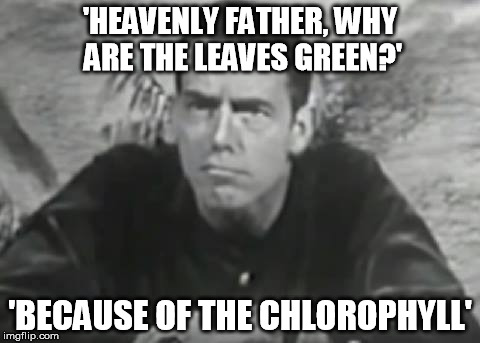 'HEAVENLY FATHER, WHY ARE THE LEAVES GREEN?'; 'BECAUSE OF THE CHLOROPHYLL' | image tagged in pensive alan | made w/ Imgflip meme maker