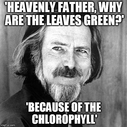 'HEAVENLY FATHER, WHY ARE THE LEAVES GREEN?'; 'BECAUSE OF THE CHLOROPHYLL' | image tagged in compassion alan | made w/ Imgflip meme maker