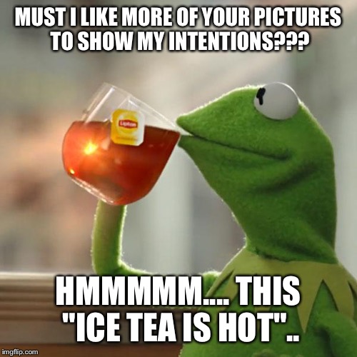 But That's None Of My Business Meme | MUST I LIKE MORE OF YOUR PICTURES TO SHOW MY INTENTIONS??? HMMMMM.... THIS "ICE TEA IS HOT".. | image tagged in memes,but thats none of my business,kermit the frog | made w/ Imgflip meme maker