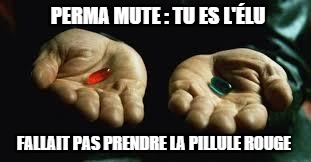 Red Pill Blue Pill | PERMA MUTE : TU ES L'ÉLU; FALLAIT PAS PRENDRE LA PILLULE ROUGE | image tagged in red pill blue pill | made w/ Imgflip meme maker