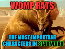 WOMP RATS THE MOST IMPORTANT CHARACTERS IN STAR WARS STAR WARS | made w/ Imgflip meme maker