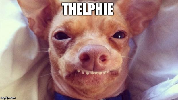 tuna the dog | THELPHIE | image tagged in tuna the dog | made w/ Imgflip meme maker
