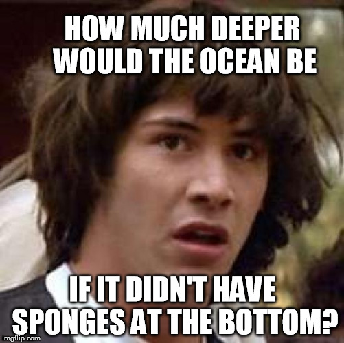 Deep Thoughts... | HOW MUCH DEEPER WOULD THE OCEAN BE; IF IT DIDN'T HAVE SPONGES AT THE BOTTOM? | image tagged in memes,conspiracy keanu,ocean,sponge,sponges | made w/ Imgflip meme maker