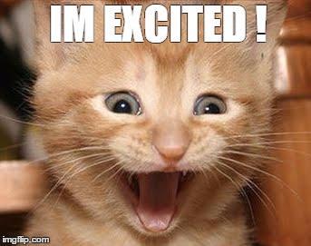 Excited Cat | IM EXCITED ! | image tagged in memes,excited cat | made w/ Imgflip meme maker