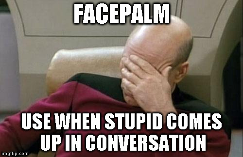 Captain Picard Facepalm Meme | FACEPALM; USE WHEN STUPID COMES UP IN CONVERSATION | image tagged in memes,captain picard facepalm | made w/ Imgflip meme maker