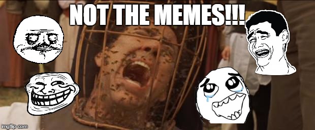Not the memes!!! | NOT THE MEMES!!! | image tagged in not the bees,memes,funny,meme faces,troll,nicolas cage | made w/ Imgflip meme maker
