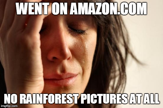 First World Problems Meme | WENT ON AMAZON.COM NO RAINFOREST PICTURES AT ALL | image tagged in memes,first world problems | made w/ Imgflip meme maker