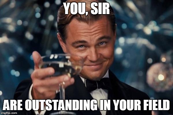 Leonardo Dicaprio Cheers Meme | YOU, SIR ARE OUTSTANDING IN YOUR FIELD | image tagged in memes,leonardo dicaprio cheers | made w/ Imgflip meme maker